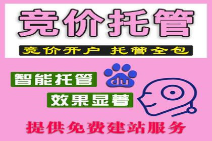 百度竞价托管运营在电商行业的成功应用